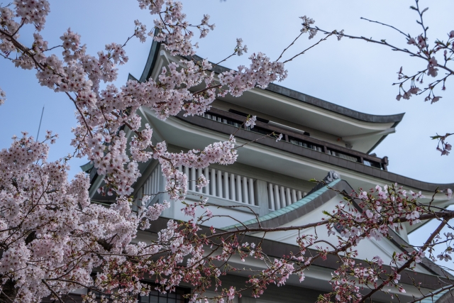 小牧城の写真