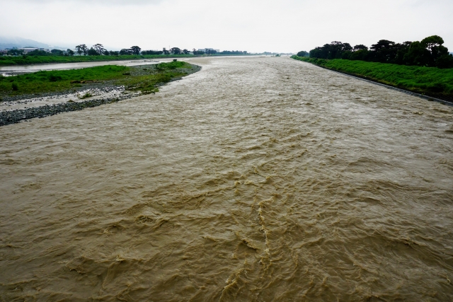 大雨の後の酒匂川の写真