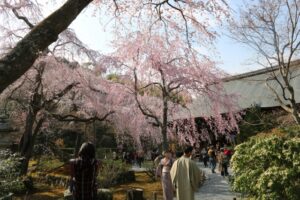 天龍寺の庭園の写真