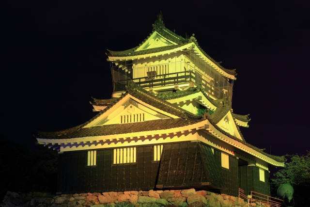 夜の浜松城